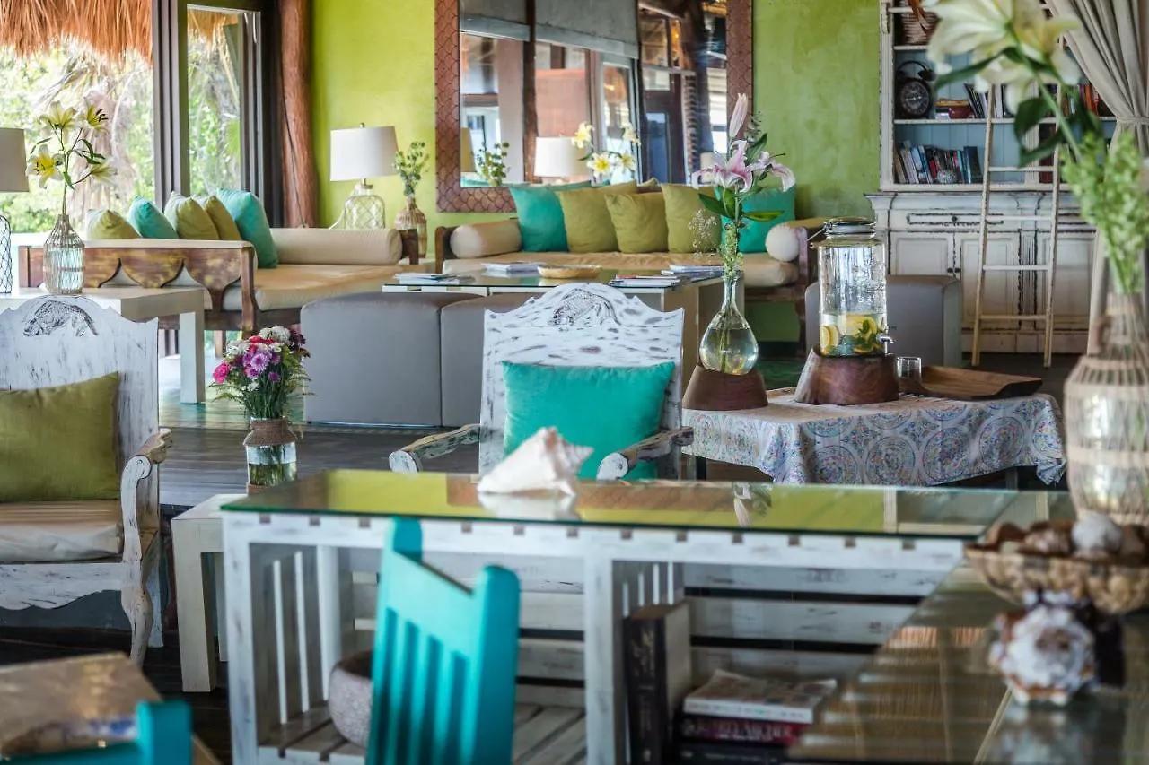 El Pez A Colibri Boutique Hotel Tulum